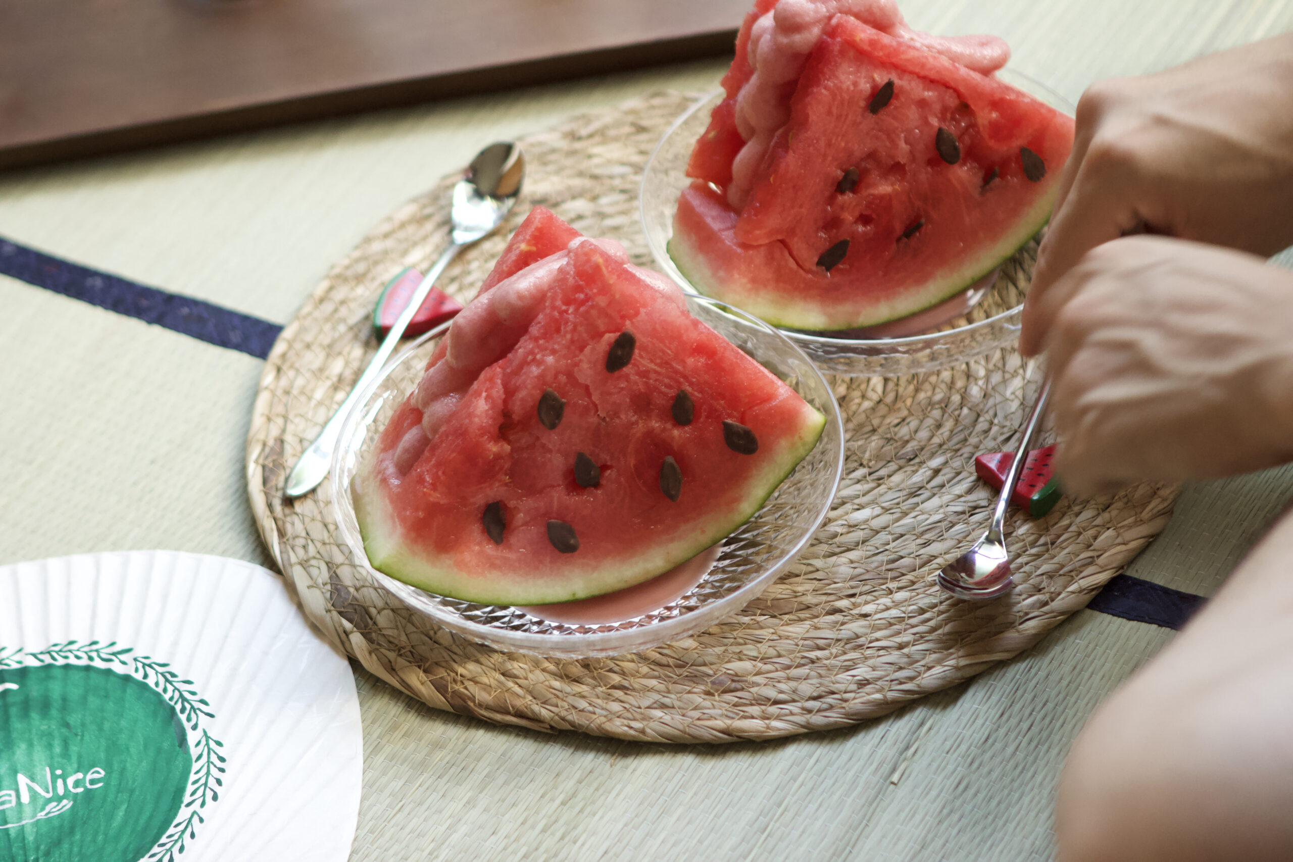 Watermelon Ice Cream